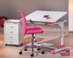 Chaise De Bureau Rose Et Pieds Métal Chromé Kelly -Pino Soldes Boutique chaise de bureau rose et pieds metal chrome kelly 4010340831529 69319