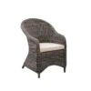 Fauteuil De Jardin En Acier Et Résine Tressée - Assise Avec Coussin - 71 X 60 X H.88 Cm - Couleur Rotin Et Coussins Ecru -Pino Soldes Boutique fauteuil de jardin en acier et resine tressee assise avec coussin 71 x 60 x h 88 cm couleur rotin et coussins ecru 3612408314428 728772